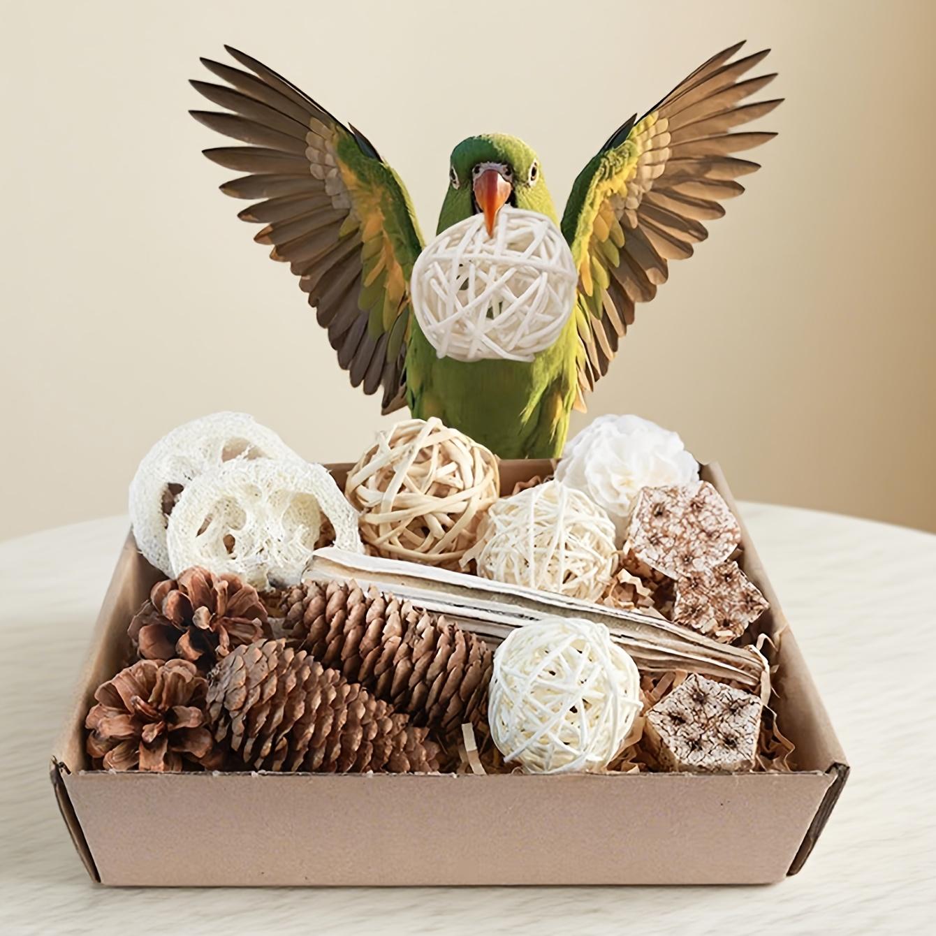 🌿 Natural Interactive Bird Toy Set 🦜Keep your Conure entertained! Crafted with natural bamboo, loofah, and rattan balls—perfect for safe chewing and shredding. ✨