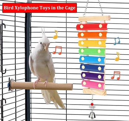 Natural Wood Xylophone & Chew Toy for Parrots 🦜🎶