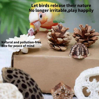 🌿 Natural Interactive Bird Toy Set 🦜Keep your Conure entertained! Crafted with natural bamboo, loofah, and rattan balls—perfect for safe chewing and shredding. ✨