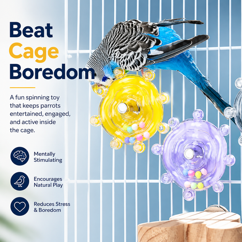 🌟 Smart Bird Activity Toy: Boredom Buster Rotating Spinner for Parrots 🦜