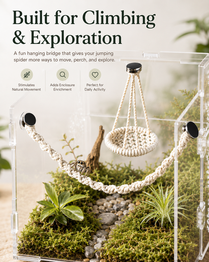 🌿 Hangable Jumping Spider Climbing Bridge & Swing | Enclosure Habitat Ladder 🕷️