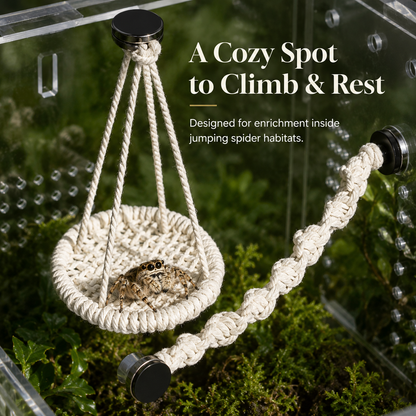 🌿 Hangable Jumping Spider Climbing Bridge & Swing | Enclosure Habitat Ladder 🕷️