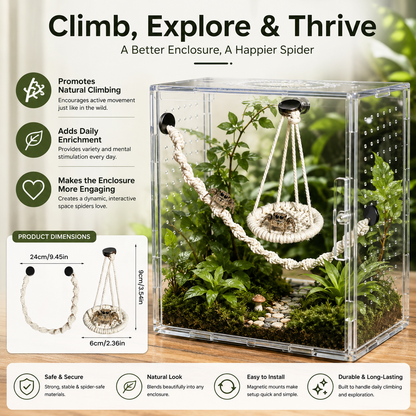🌿 Hangable Jumping Spider Climbing Bridge & Swing | Enclosure Habitat Ladder 🕷️