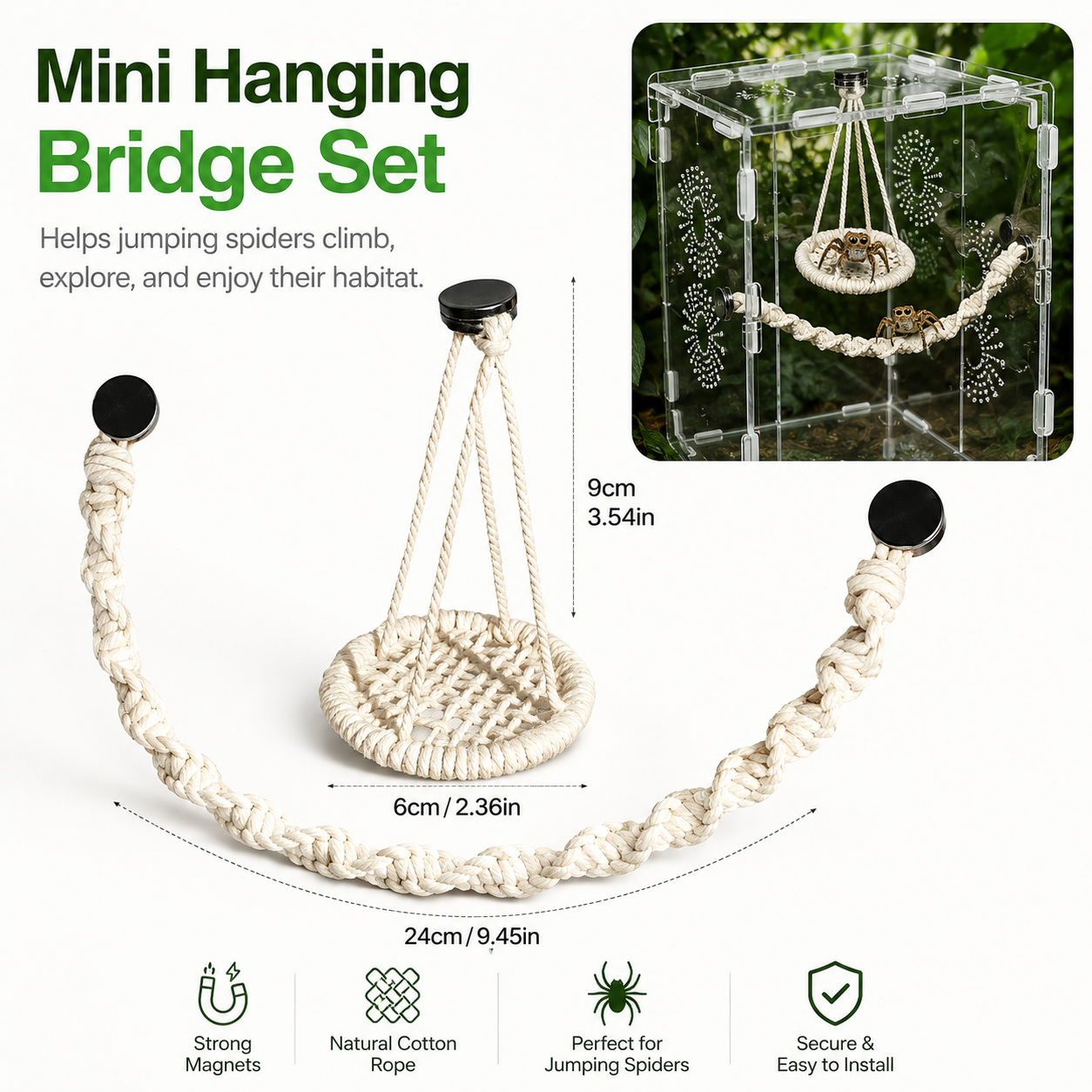 🌿 Hangable Jumping Spider Climbing Bridge & Swing | Enclosure Habitat Ladder 🕷️