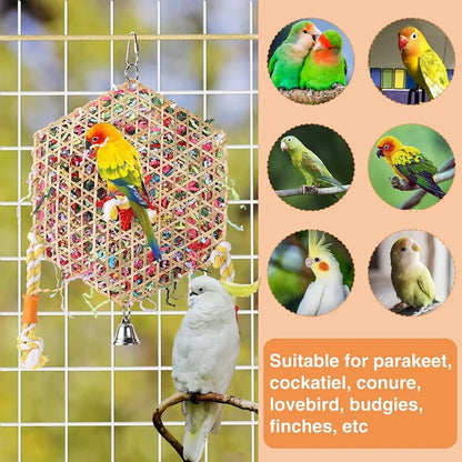 Colorful Bamboo & Paper Bird Chew Toy 🦜