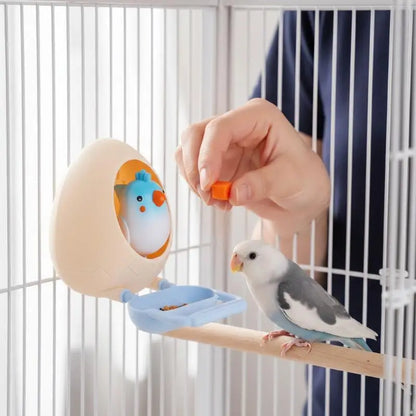 🥚 Fun Eggshell Bird Toy: Feed, Play & Stop Boredom! 🦜