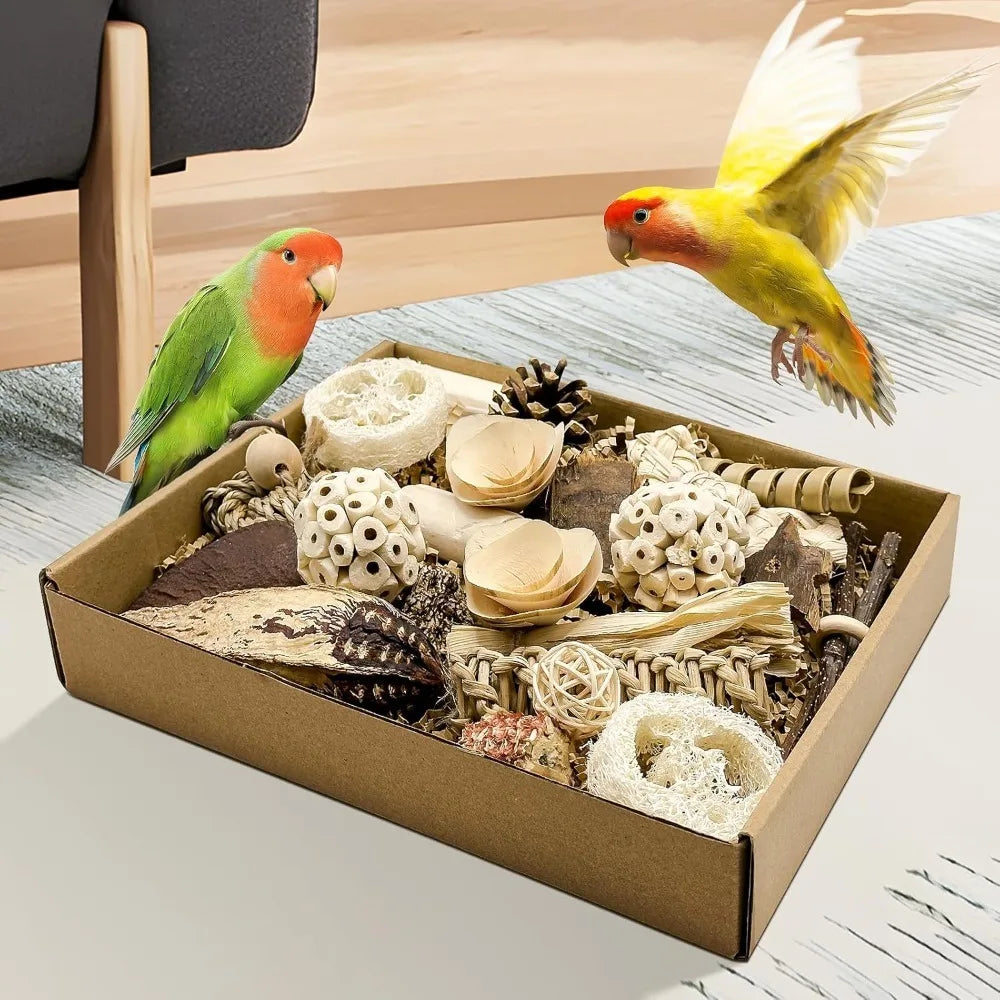 🌿 Natural Interactive Bird Toy Set 🦜Keep your Conure entertained! Crafted with natural bamboo, loofah, and rattan balls—perfect for safe chewing and shredding. ✨