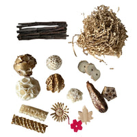 Set C : Advanced Foraging Set