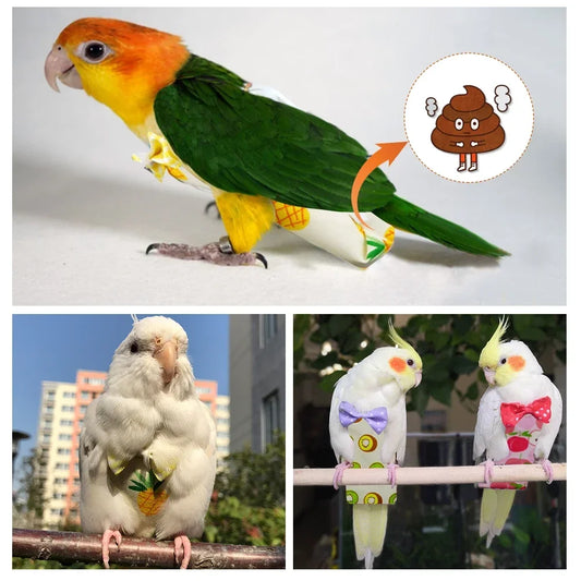 Mess-Free Washable Bird Diaper & Flight Suit