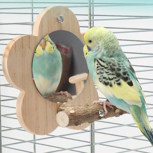 🌺 Joyful Beaks FloraPerch: Natural Blossom Wooden Bird Perch with Built-in Mirror 🪵