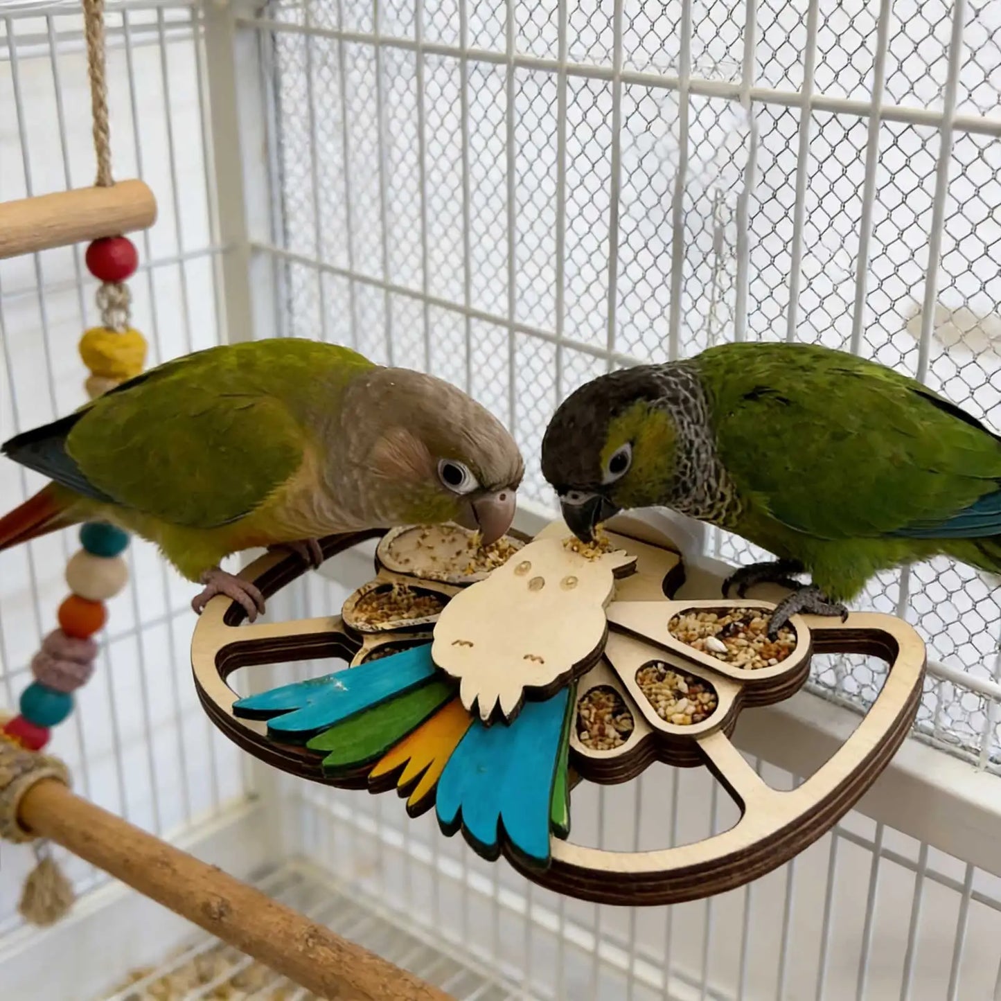 🏡 3-in-1 Wooden Bird Feeder: Perfect for Cages & Aviaries 🐦