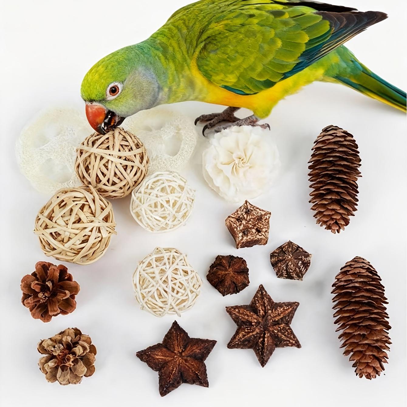 🌿 Natural Interactive Bird Toy Set 🦜Keep your Conure entertained! Crafted with natural bamboo, loofah, and rattan balls—perfect for safe chewing and shredding. ✨
