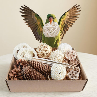 🌿 Natural Interactive Bird Toy Set 🦜Keep your Conure entertained! Crafted with natural bamboo, loofah, and rattan balls—perfect for safe chewing and shredding. ✨