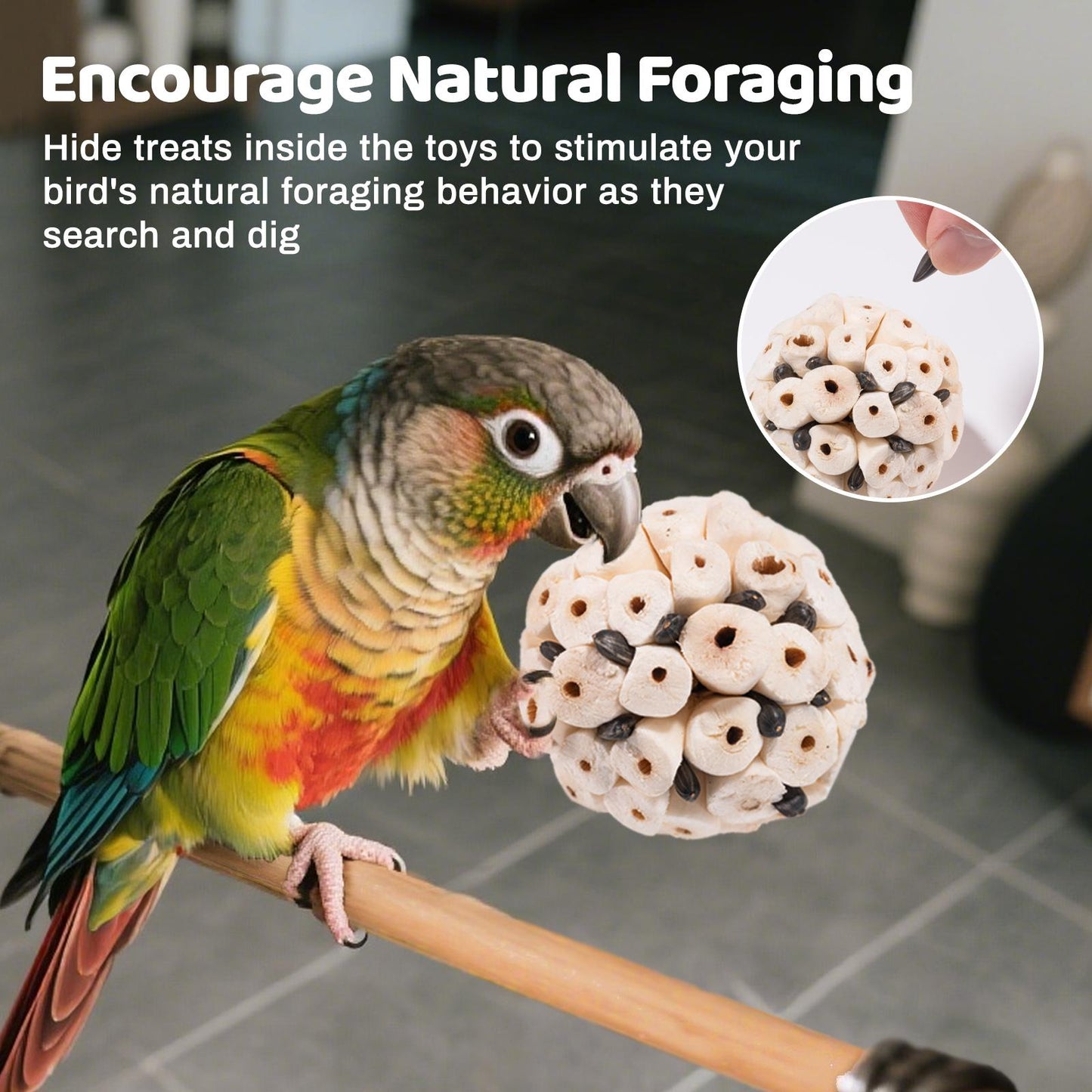 🌿 Natural Interactive Bird Toy Set 🦜Keep your Conure entertained! Crafted with natural bamboo, loofah, and rattan balls—perfect for safe chewing and shredding. ✨