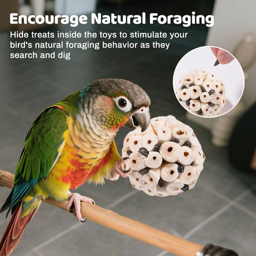 🌿 Natural Interactive Bird Toy Set 🦜Keep your Conure entertained! Crafted with natural bamboo, loofah, and rattan balls—perfect for safe chewing and shredding. ✨