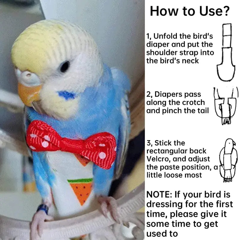 Mess-Free Washable Bird Diaper & Flight Suit